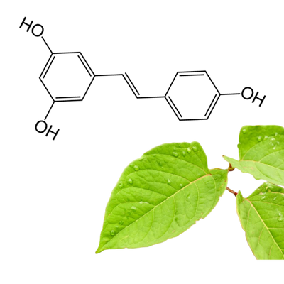 Liposomal Trans-Resveratrol