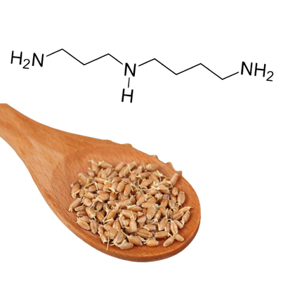 Spermidine (Wheat Germ Extract)