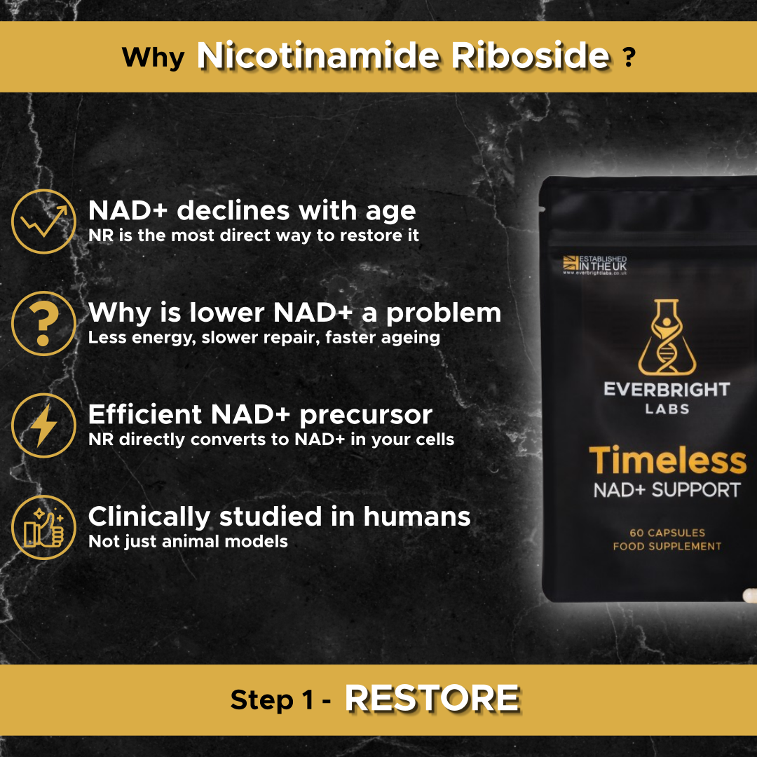 Timeless NAD+ Support - NR with Spermidine and Resveratrol