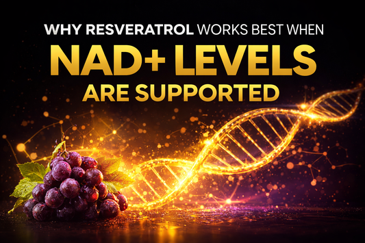 Why Resveratrol Works Best When NAD+ Levels Are Supported