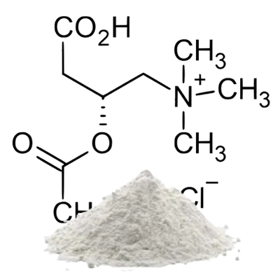 <em>Acetyl-L-Carnitine</em>