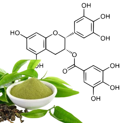 Decaffeinated Green Tea Extract