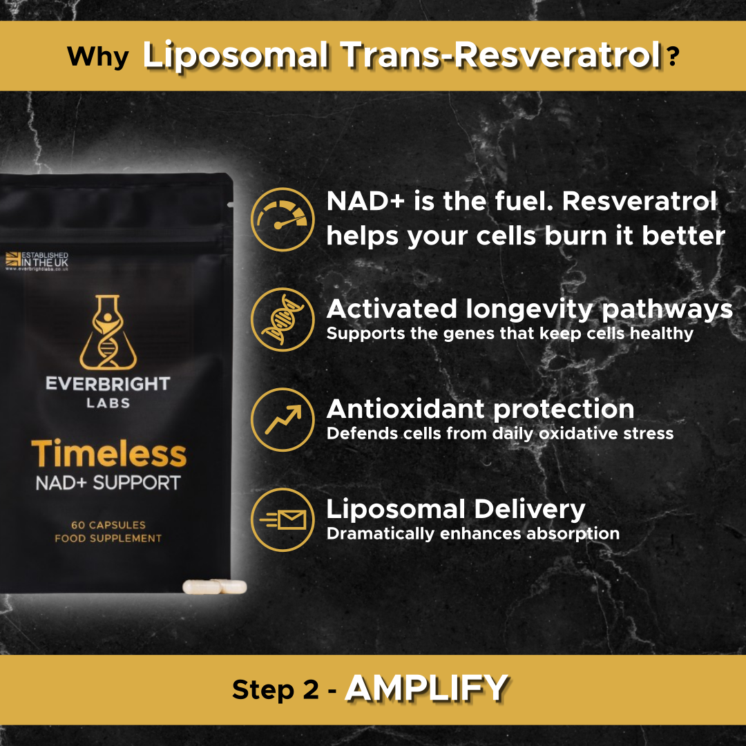 Timeless NAD+ Support - NR with Spermidine and Resveratrol