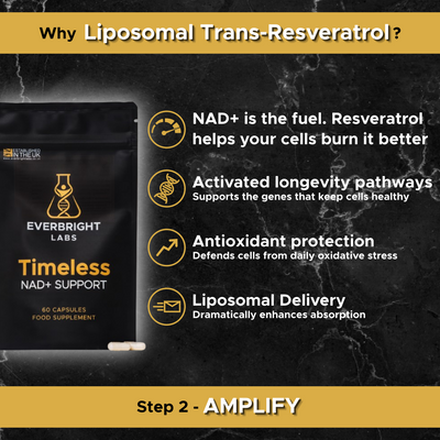 Why Liposomal Trans-Resveratrol — activates longevity pathways, antioxidant protection, liposomal delivery for enhanced absorption, Step 2 Amplify
